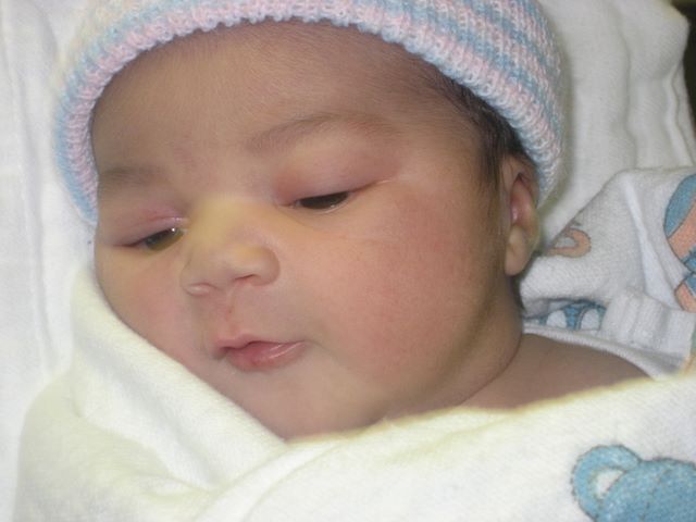 Bella Day 2 close ups