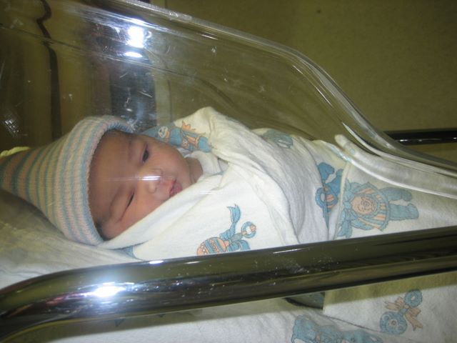 Bella Day 2 close ups