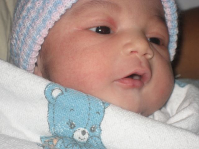 Bella Day 2 close ups